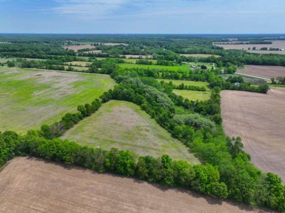 Calhoun County – 20+/- Acres