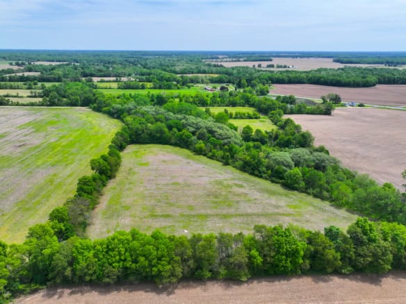 Calhoun County – 20+/- Acres