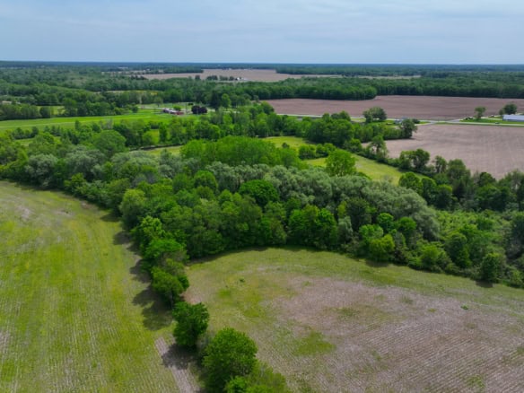 Calhoun County – 20+/- Acres