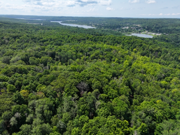 Antrim County – 10+/- Acres