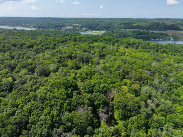 Antrim County – 10+/- Acres
