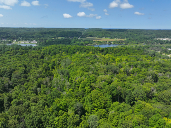 Antrim County – 10+/- Acres