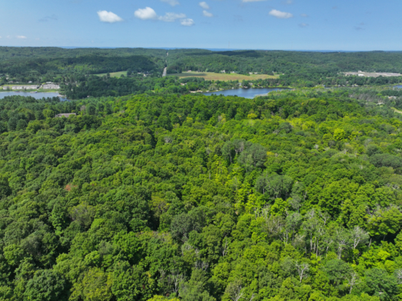 Antrim County – 10+/- Acres