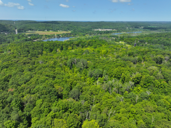 Antrim County – 10+/- Acres