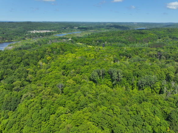 Antrim County – 10+/- Acres