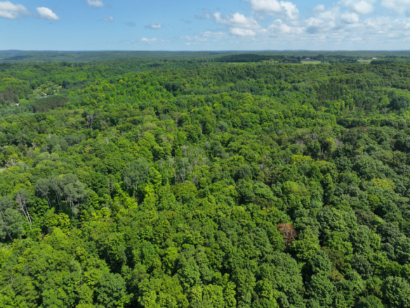 Antrim County – 10+/- Acres