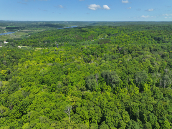 Antrim County – 10+/- Acres