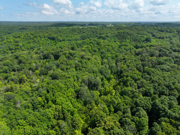 Antrim County – 10+/- Acres