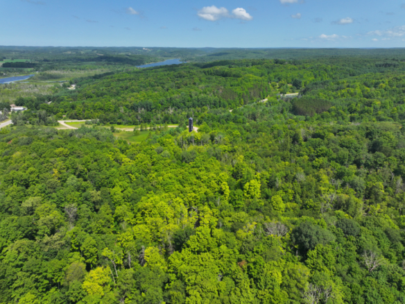 Antrim County – 10+/- Acres