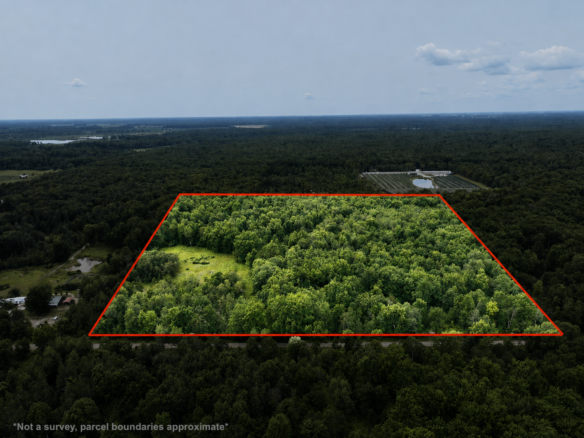 Iosco County – 40 Acres