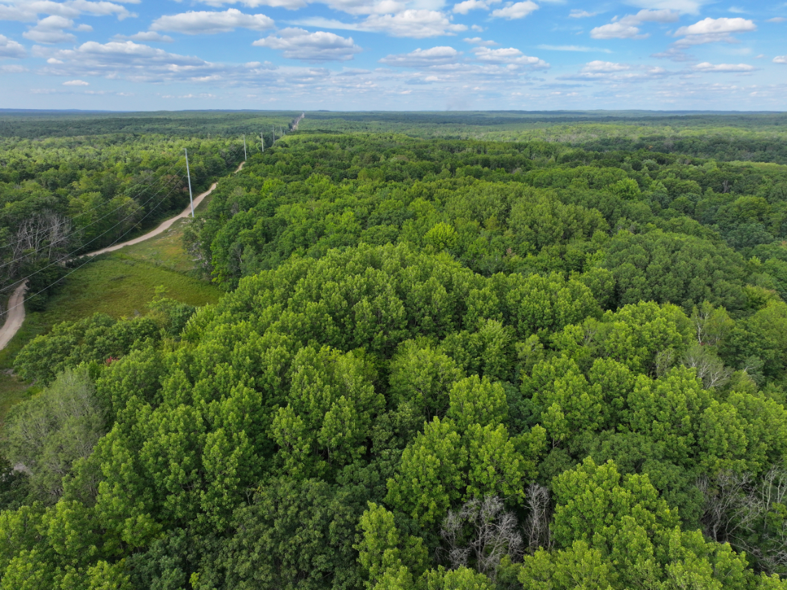 Lake County – 13.06 Acres