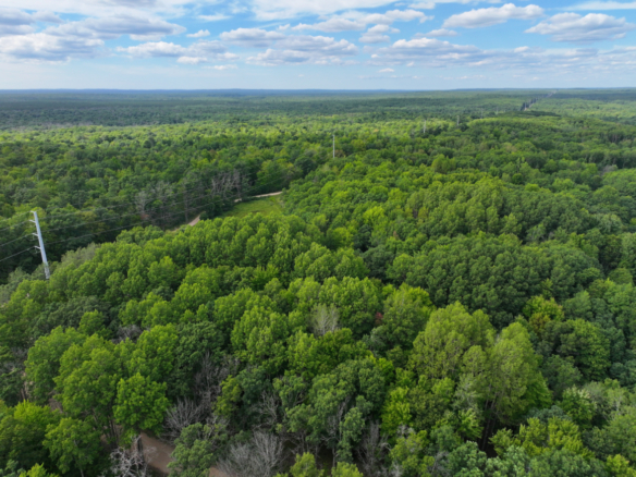 Lake County – 13.06 Acres