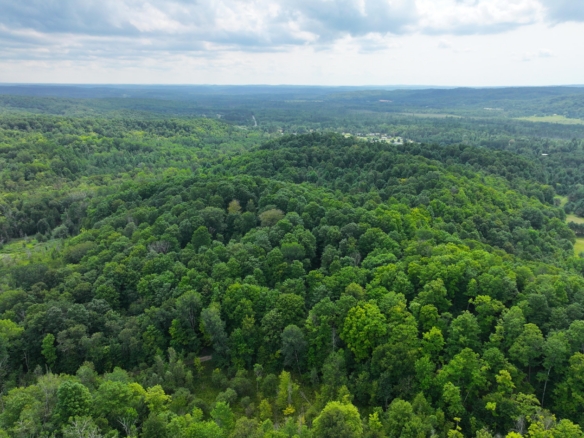 Antrim County – 20 Acres