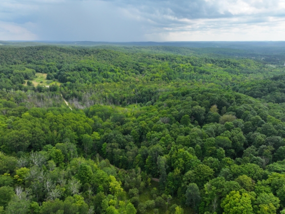 Antrim County – 40 Acres