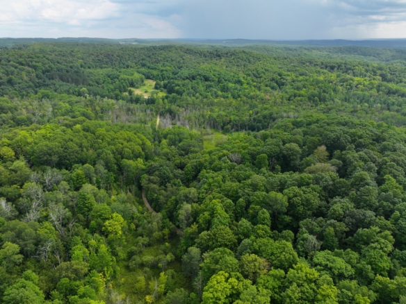 Antrim County – 40 Acres