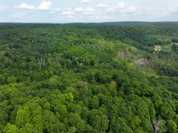 Antrim County – 40 Acres