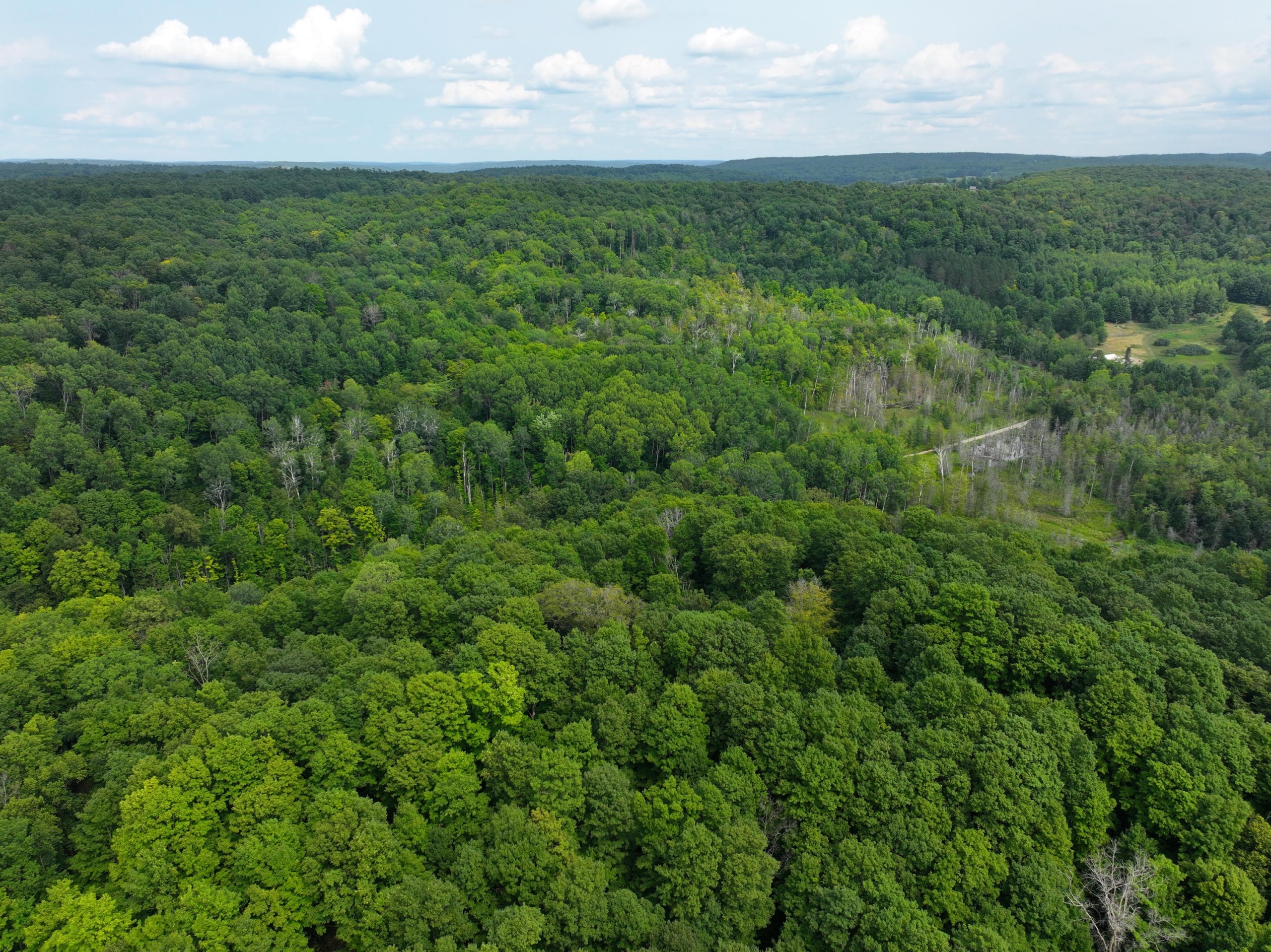 Antrim County – 40 Acres