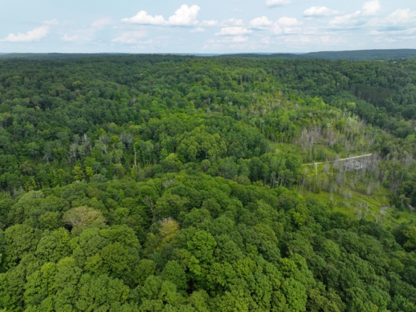 Antrim County – 40 Acres