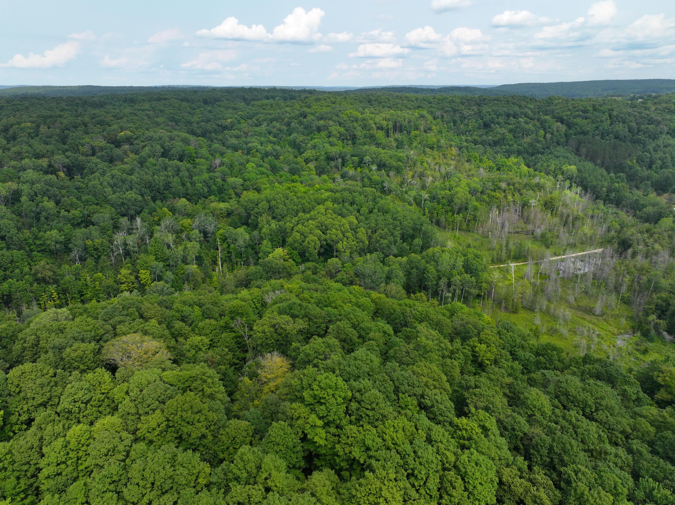 Antrim County – 40 Acres