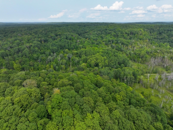 Antrim County – 40 Acres