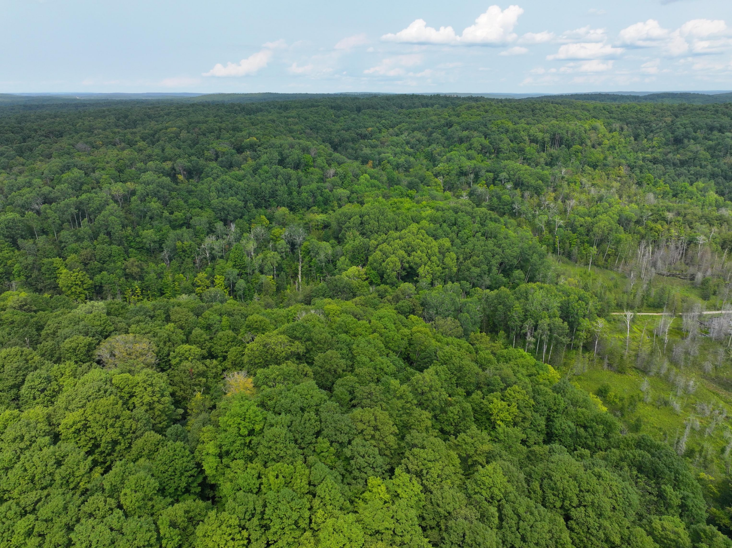 Antrim County – 40 Acres