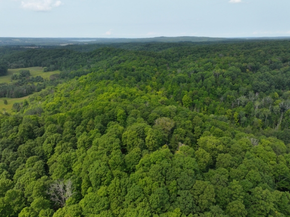 Antrim County – 40 Acres