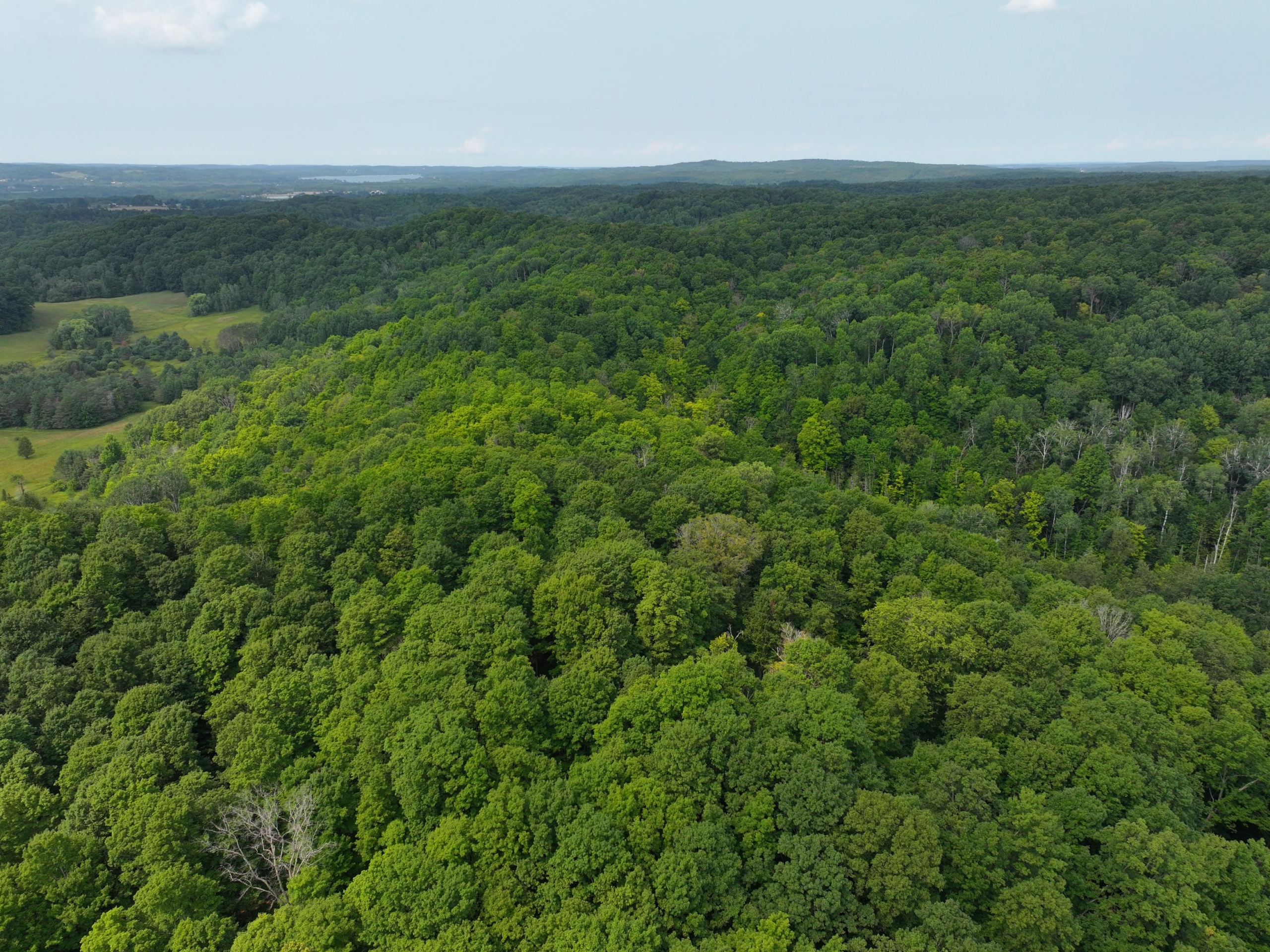 Antrim County – 40 Acres