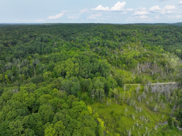 Antrim County – 40 Acres