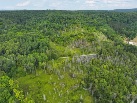 Antrim County – 40 Acres