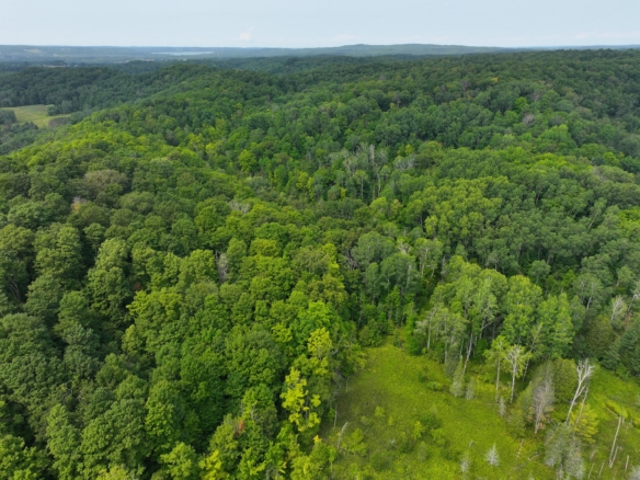 Antrim County – 40 Acres