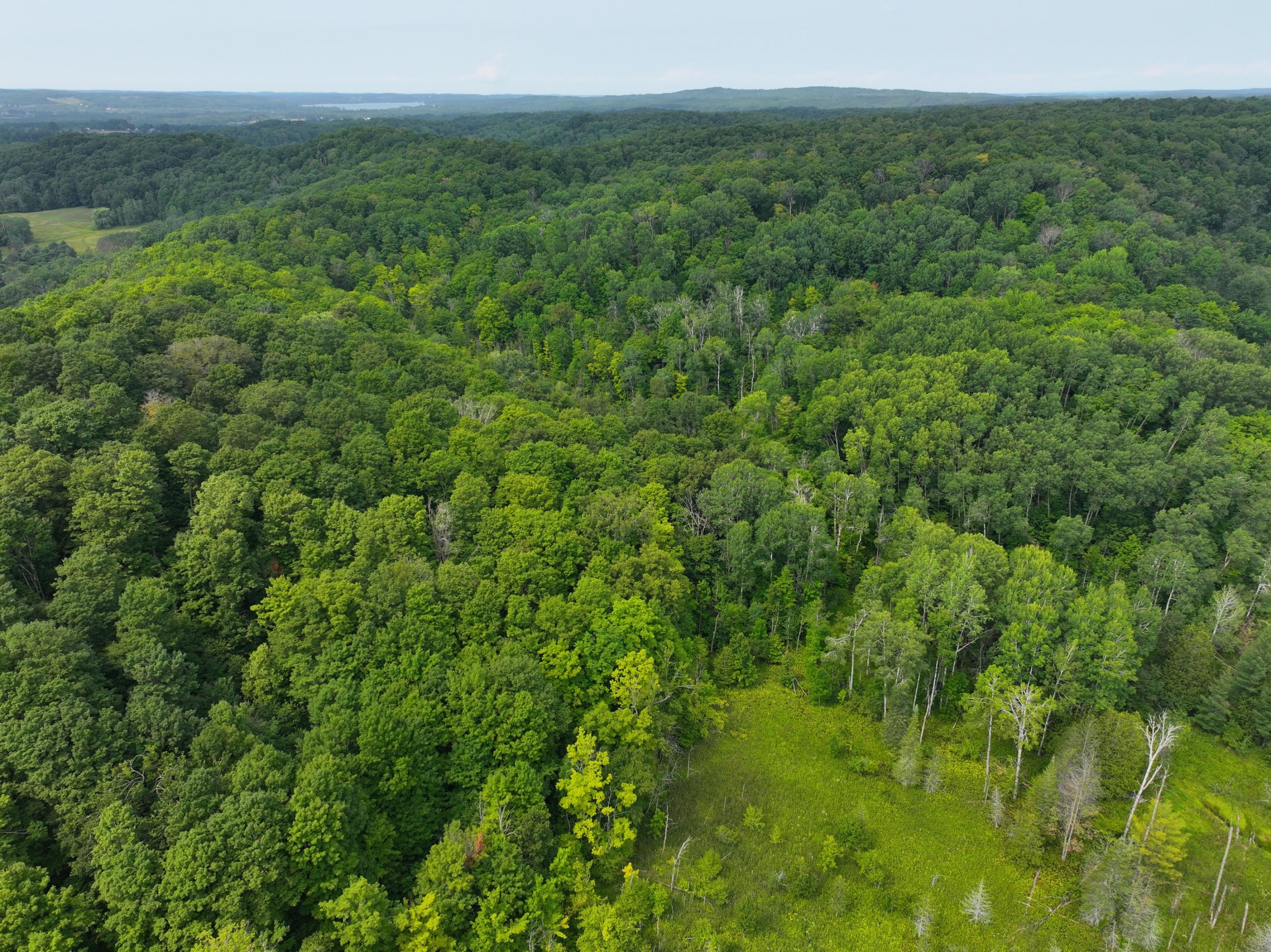 Antrim County – 40 Acres