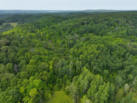 Antrim County – 40 Acres