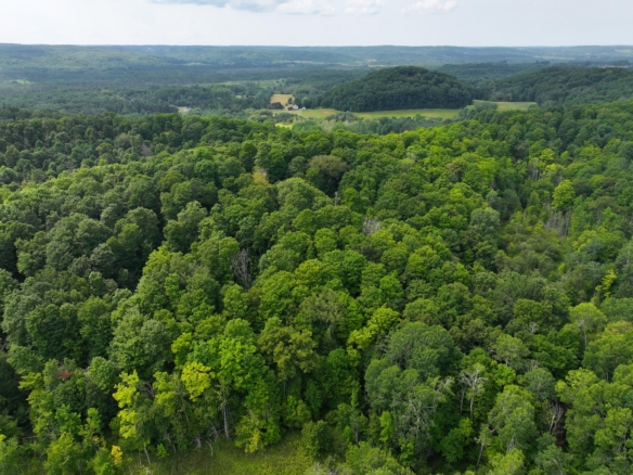 Antrim County – 40 Acres