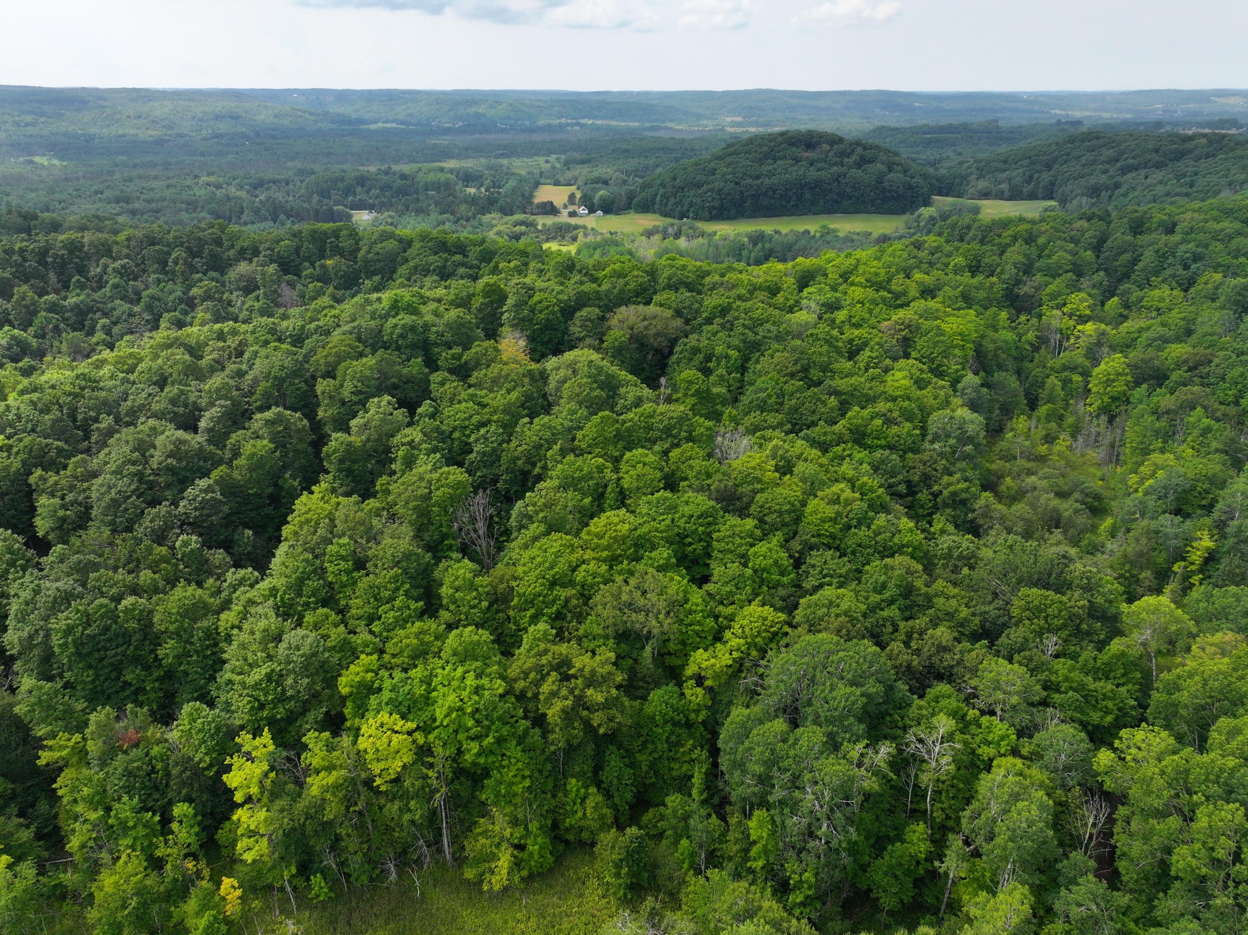 Antrim County – 40 Acres