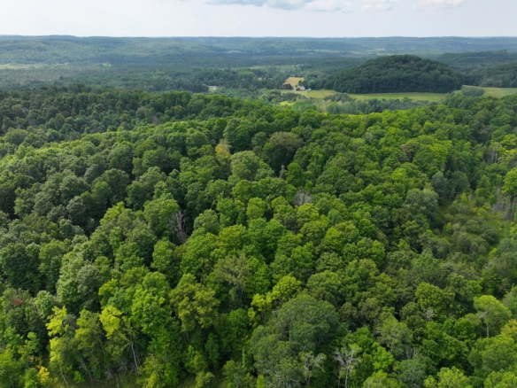 Antrim County – 40 Acres