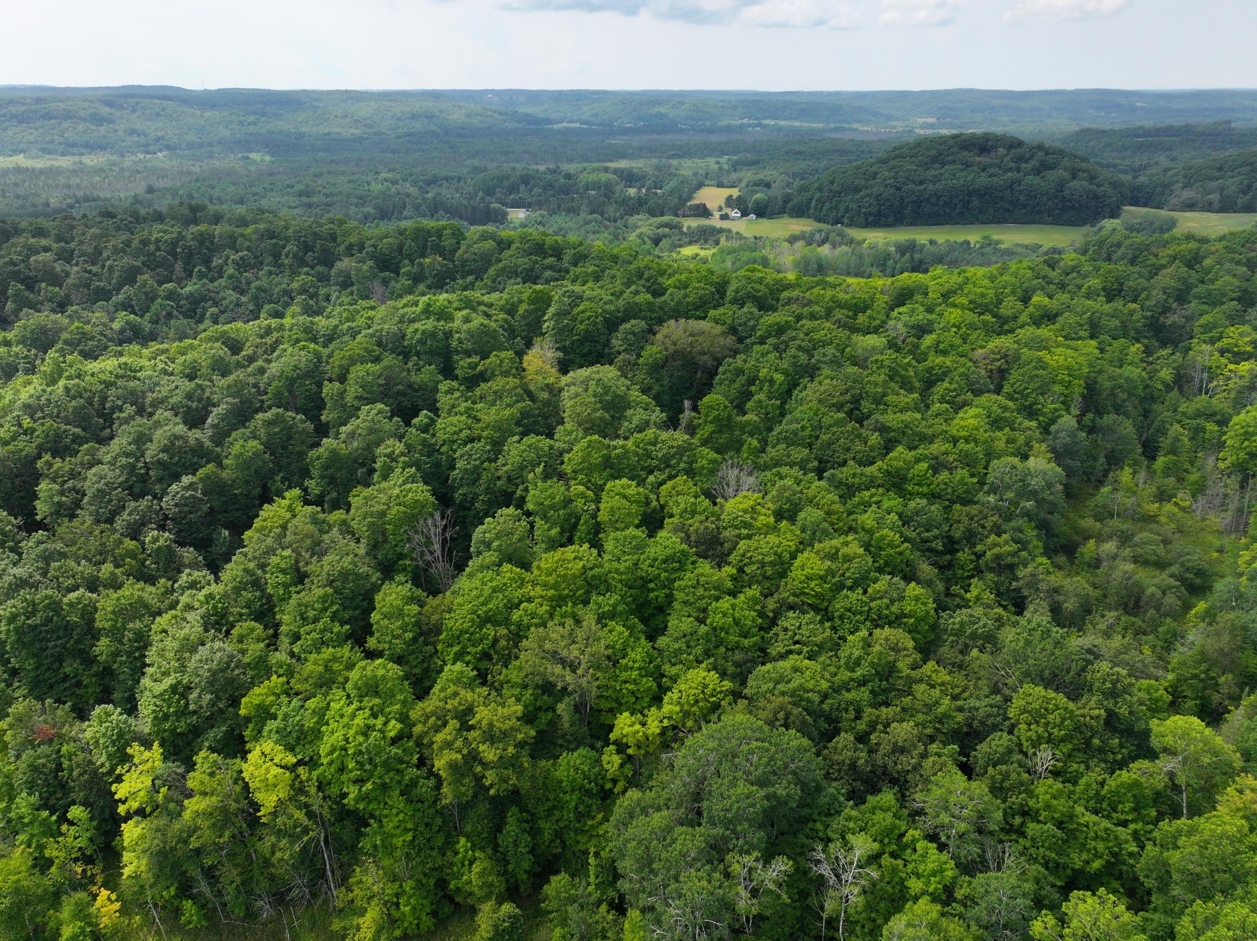 Antrim County – 40 Acres