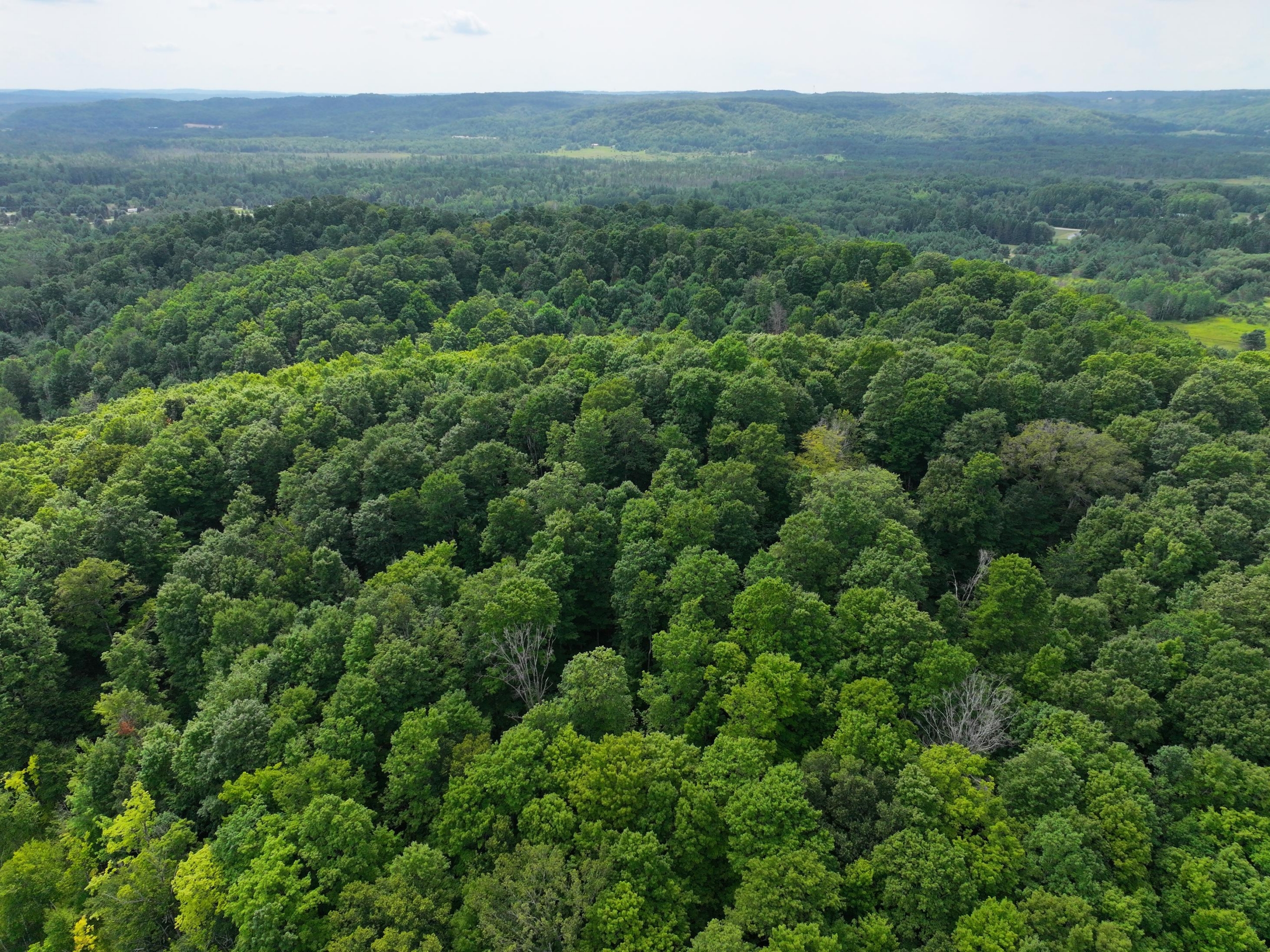 Antrim County – 40 Acres