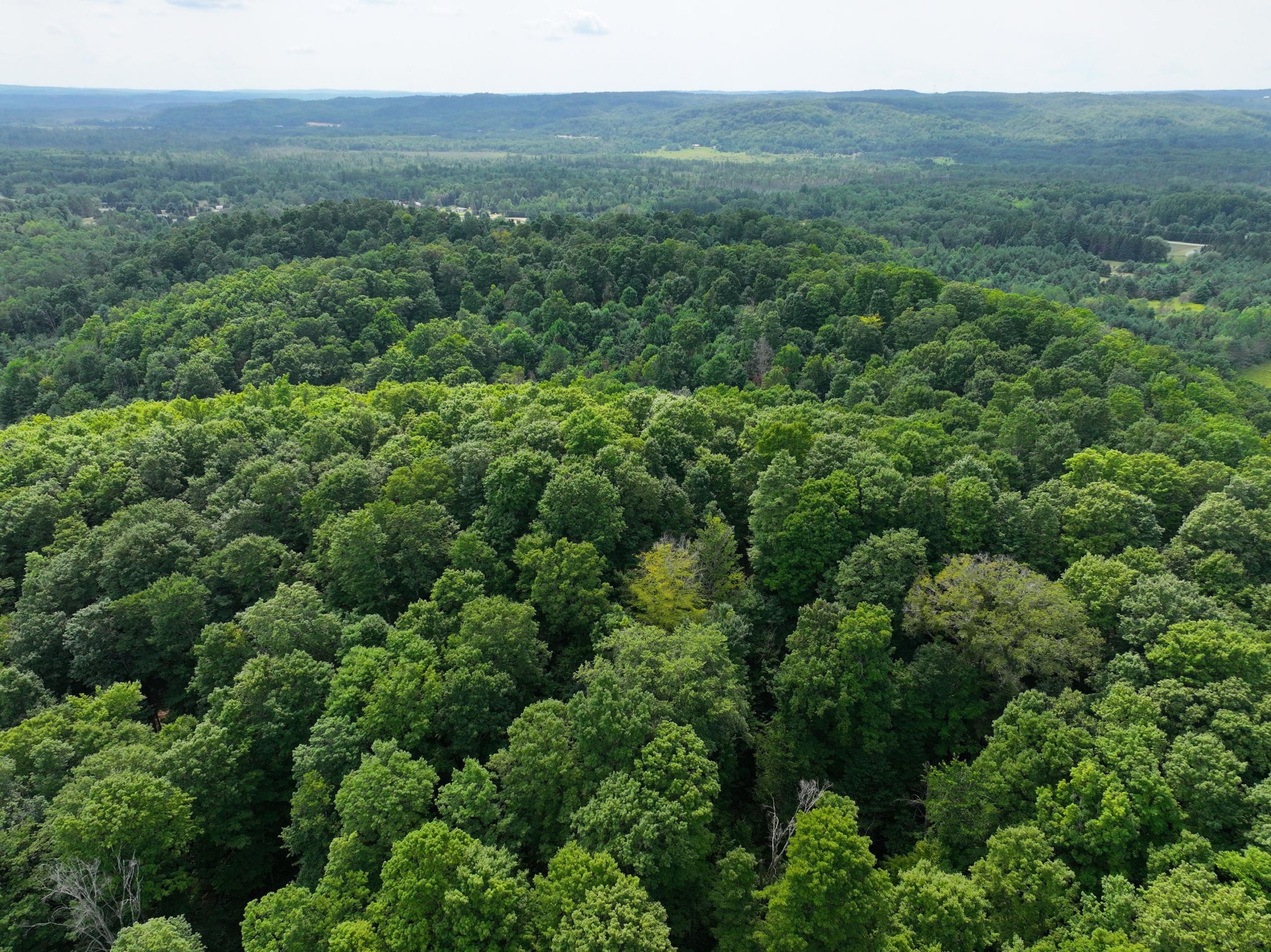 Antrim County – 40 Acres