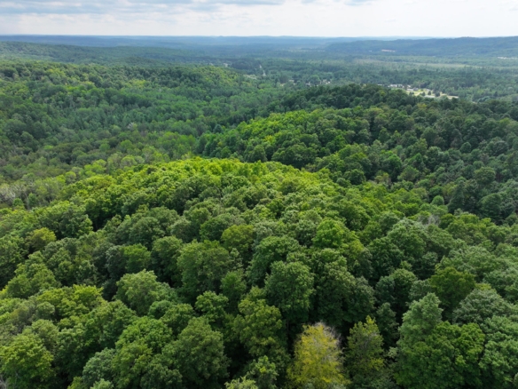Antrim County – 40 Acres