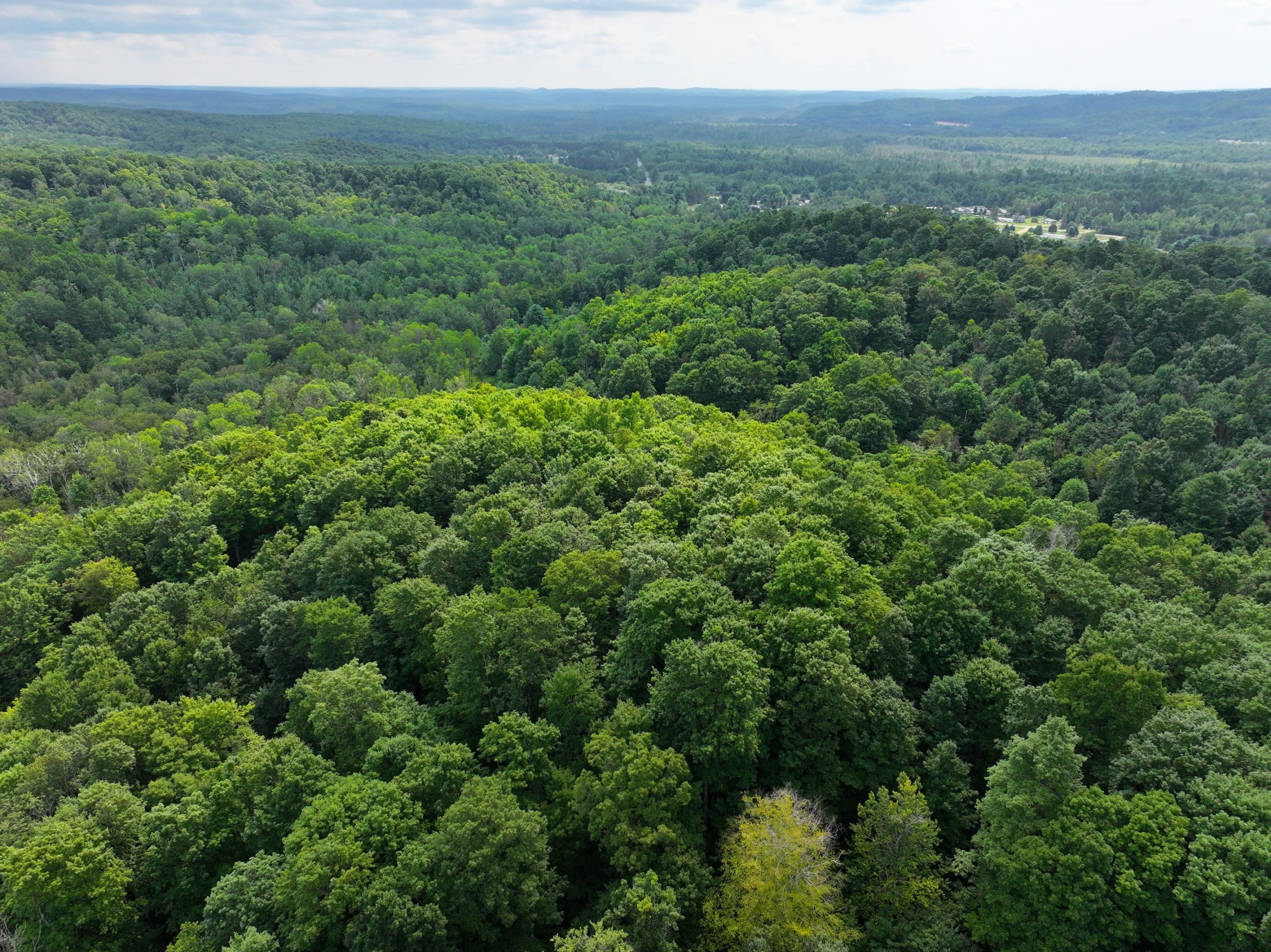 Antrim County – 40 Acres