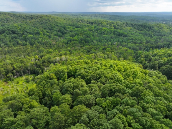 Antrim County – 40 Acres