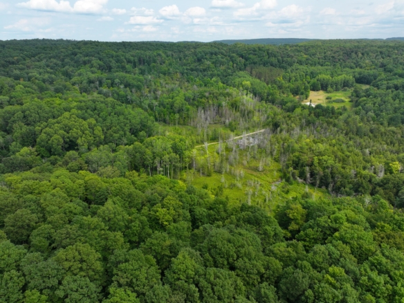 Antrim County – 40 Acres