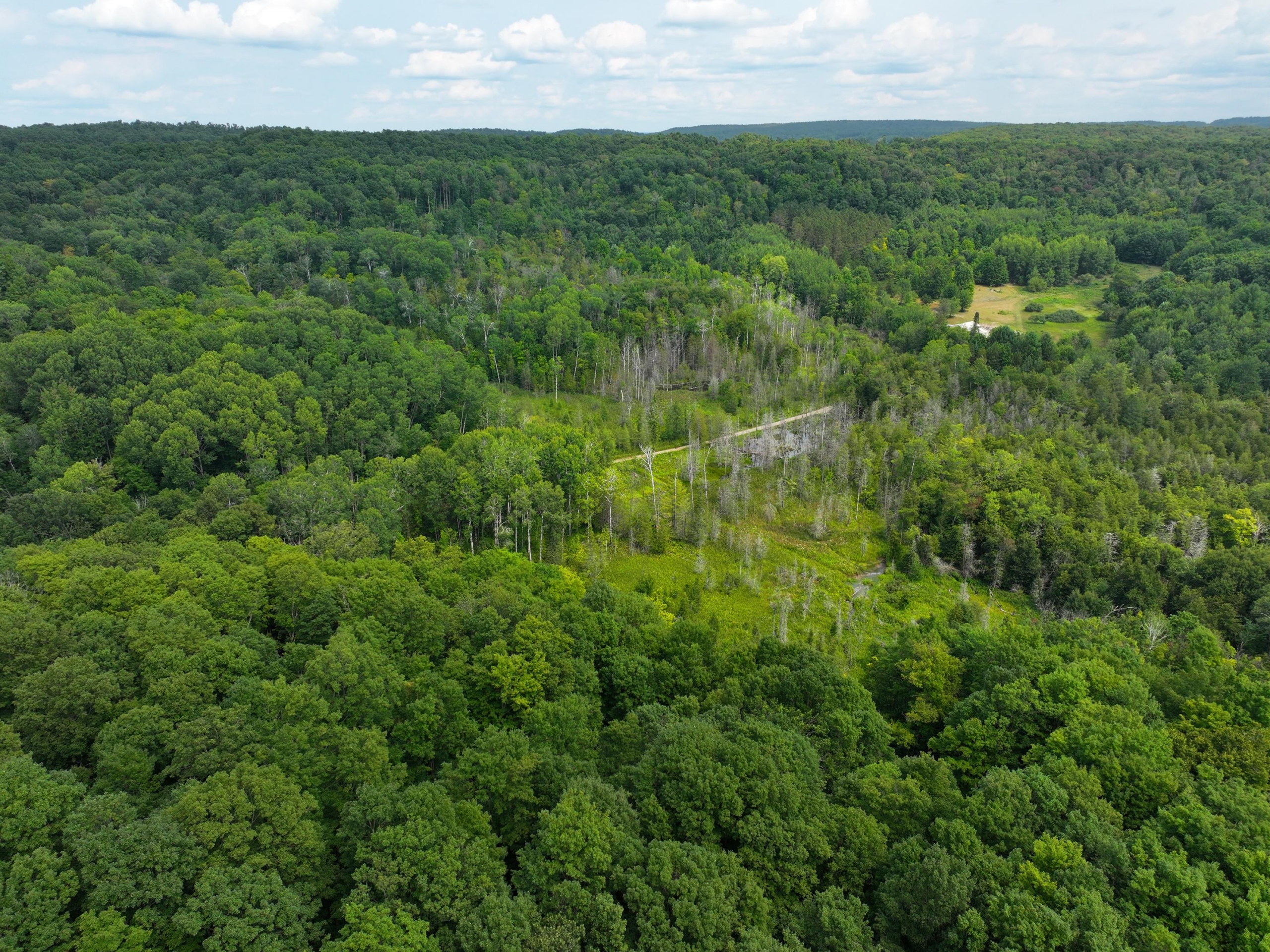 Antrim County – 40 Acres