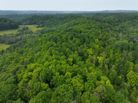 Antrim County – 40 Acres