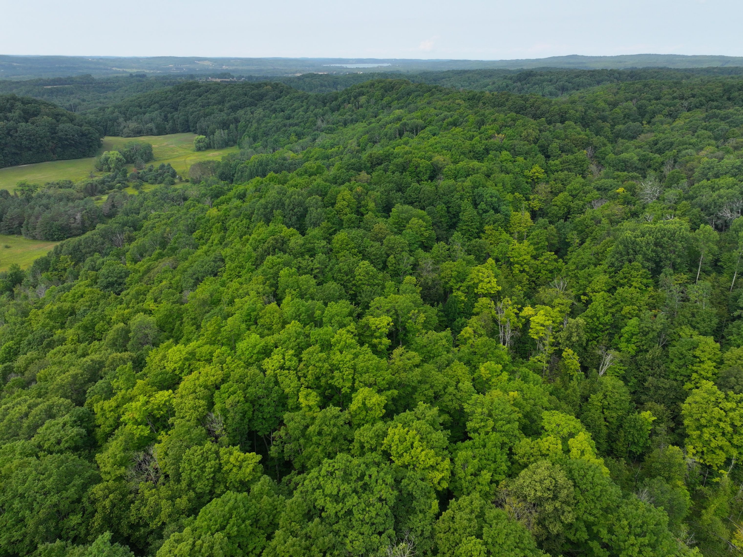 Antrim County – 40 Acres
