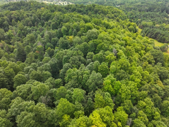 Antrim County – 40 Acres