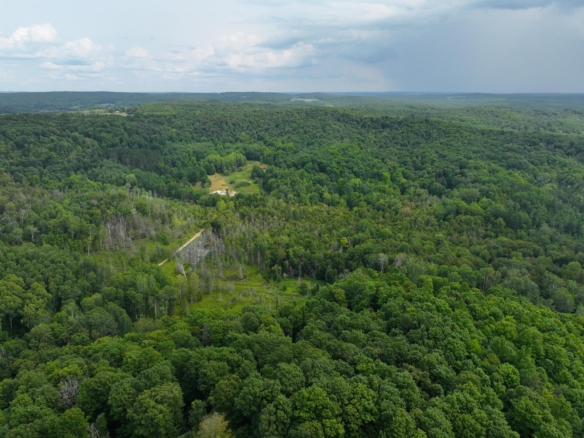 Antrim County – 40 Acres
