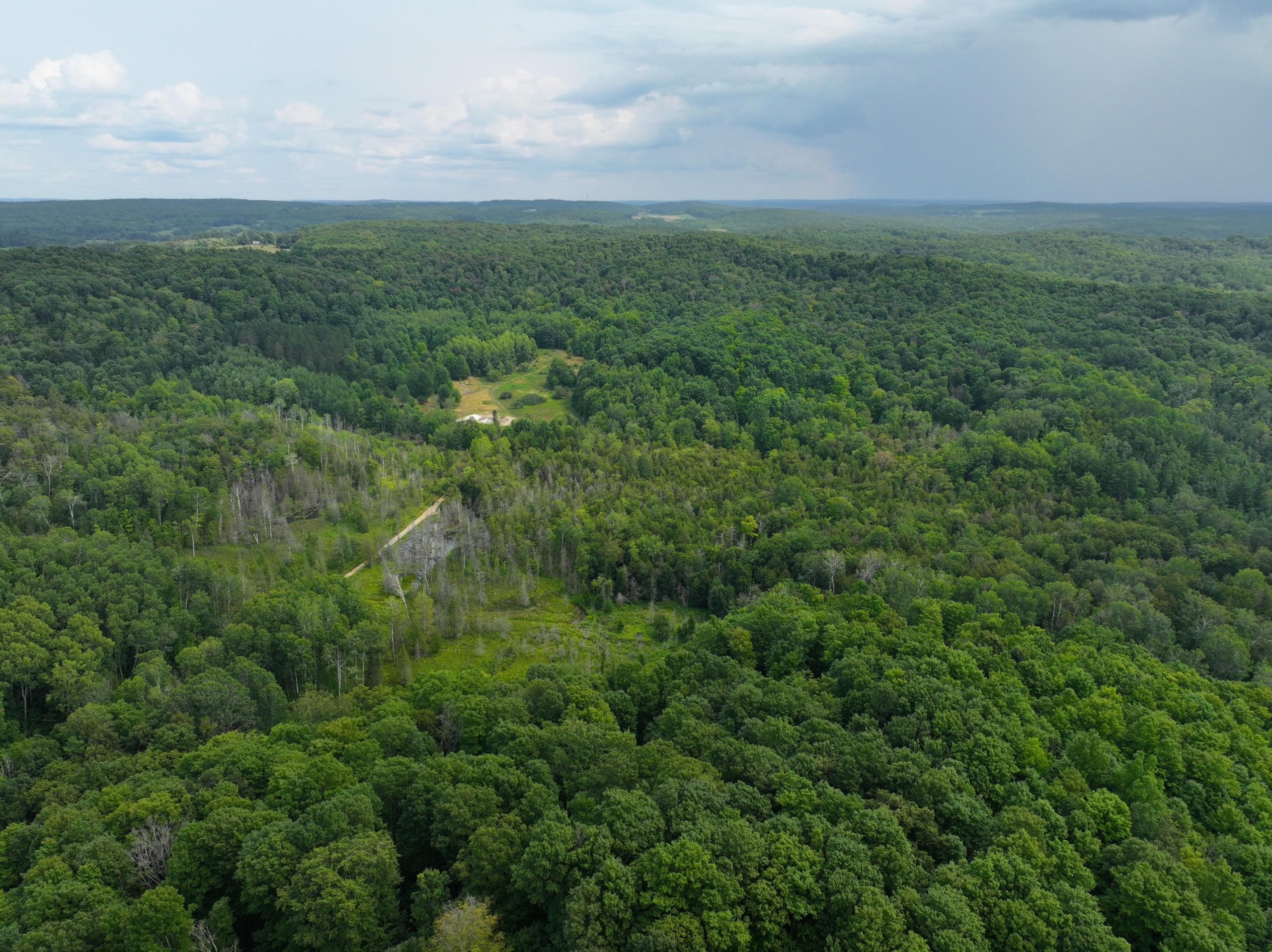 Antrim County – 40 Acres