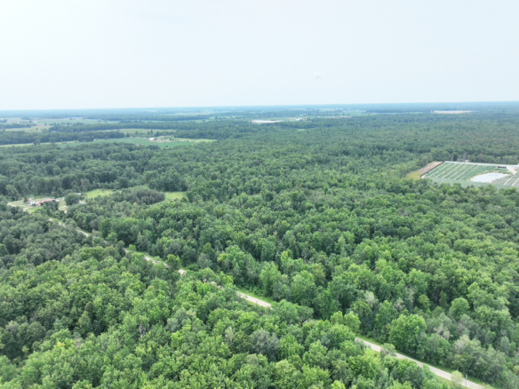 Iosco County – 40 Acres