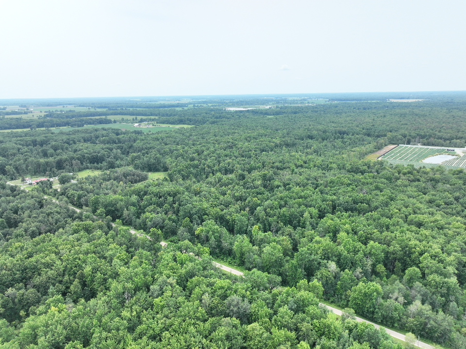 Iosco County – 40 Acres